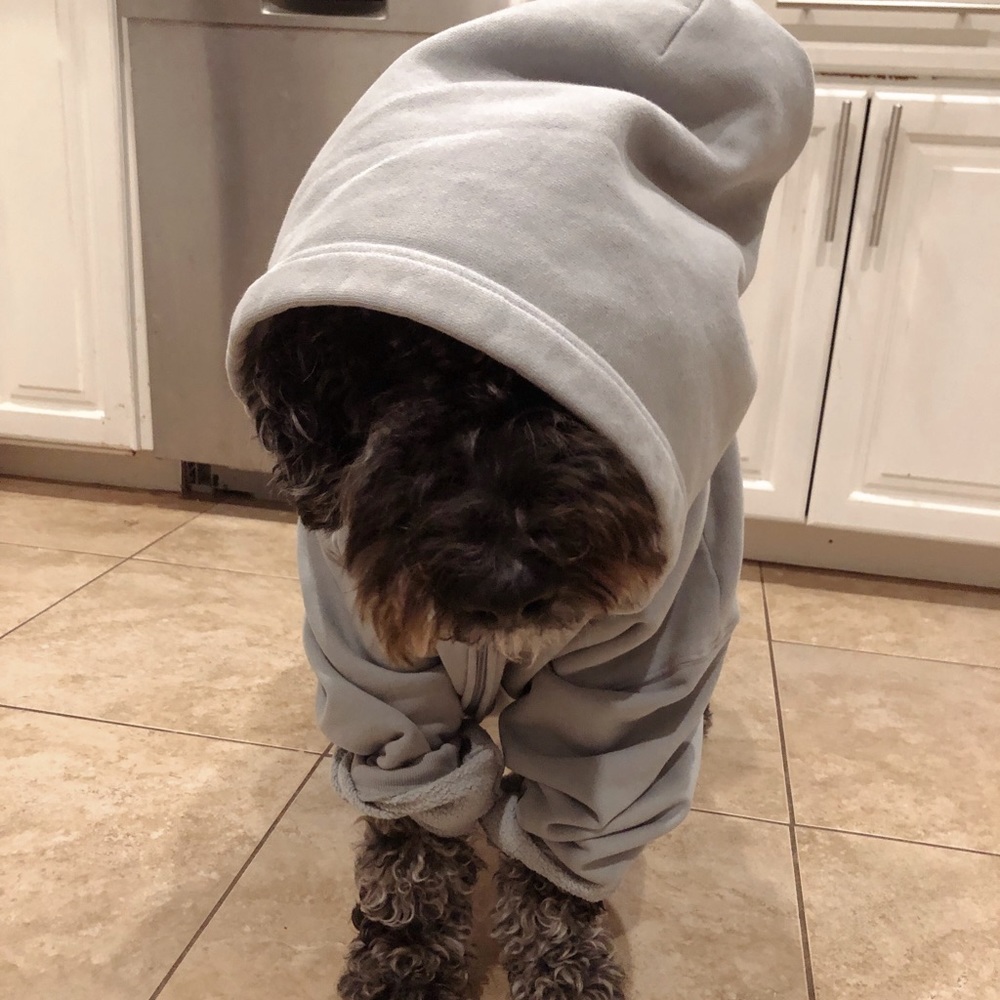 Meet your Posher, Olivia